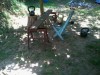 gym under the walnut tree